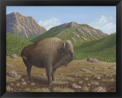 Framed Bison Print