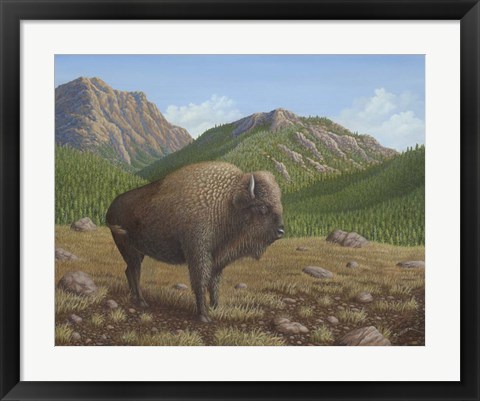 Framed Bison Print