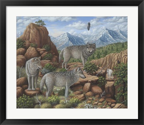 Framed Scouting the Horizon - Grey Wolves Print