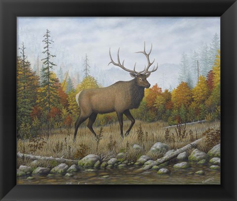 Framed Autumn Elk Print