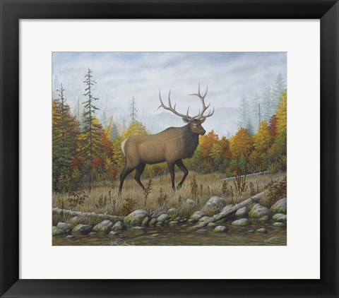 Framed Autumn Elk Print