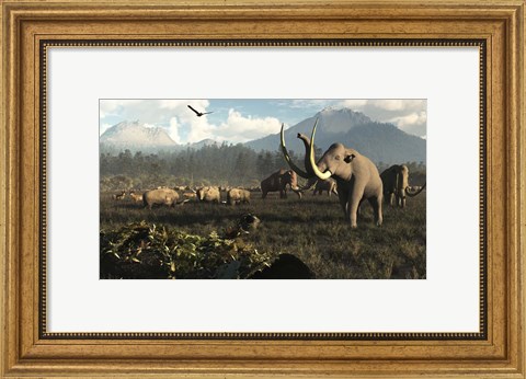 Framed Columbian Mammoths And Bison Roam The Ancient Plains Of North America Print