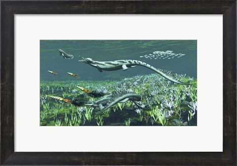 Framed Cymbospondylus, A Very Large And Early Triassic Ichthyosaur Print