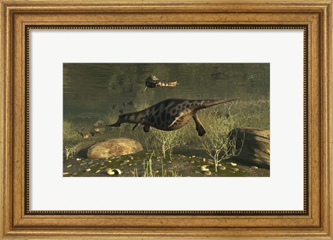 Framed Hupehsuchus Marine Reptiles Swimming In Triassic Waters Print