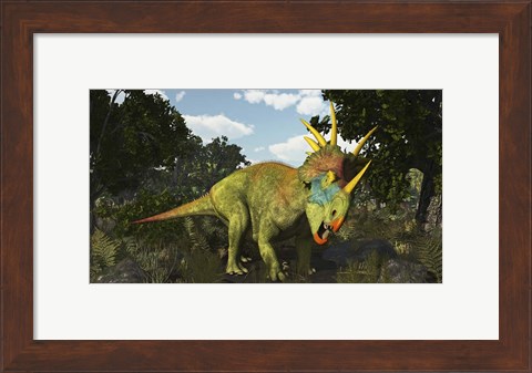 Framed Styracosaurus, A Horned Dinosaur Of The Late Cretaceous Print