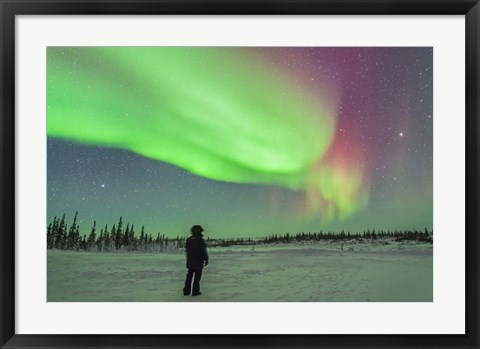 Framed Aurora borealis with Vega and Arcturus Stars, Manitoba, Canada Print