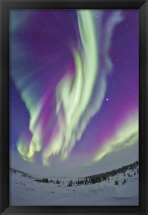 Framed Northern Lights in Churchill, Manitoba, Canada Print