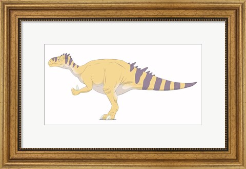 Framed Iguanodon Print