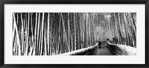 Framed Stepped walkway passing through a bamboo forest, Arashiyama, Kyoto, Japan Print