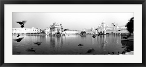 Framed Reflection of Golden Temple, Amritsar, Punjab, India (black &amp; white) Print