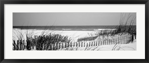 Framed Fence on the beach, Bon Secour National Wildlife Refuge, Bon Secour, Alabama Print