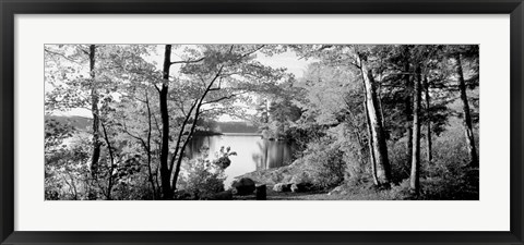 Framed Trees at the lakeside, Great Sacandaga Lake, Adirondack Mountains, NY Print