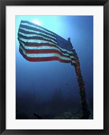 Framed American Flag on a Sunken Ship in Key Largo, Florida Print