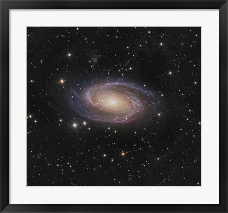 Framed Messier 81 spiral galaxy in the Constellation Ursa Major Print