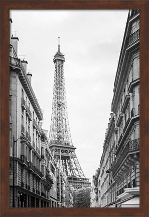 Framed Eiffel Glimpse Print