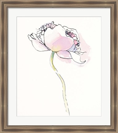 Framed Single Pink Somniferums I on White Print