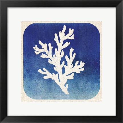 Framed Watermark Coral Print