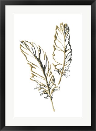 Framed Gilded Barn Owl Feather Print