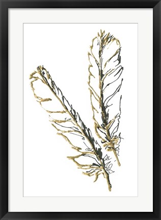 Framed Gilded Red Tailed Hawk Feather Print