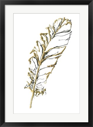 Framed Gilded Turkey Feather I Print