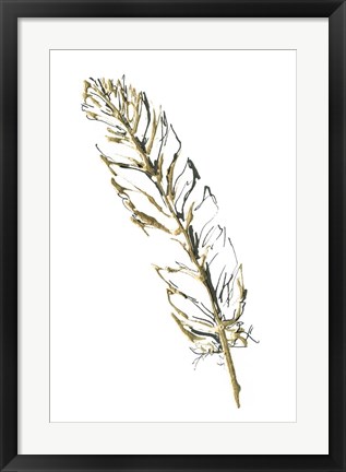 Framed Gilded Turkey Feather II Print