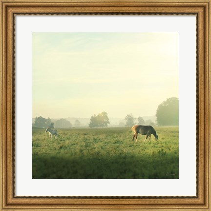 Framed Farm Morning I Square Print