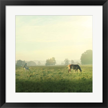 Framed Farm Morning I Square Print