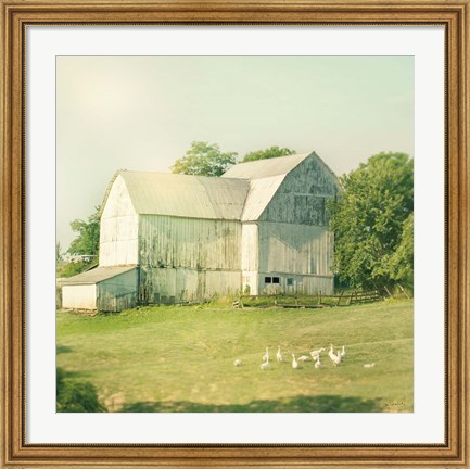 Framed Farm Morning III Square Print