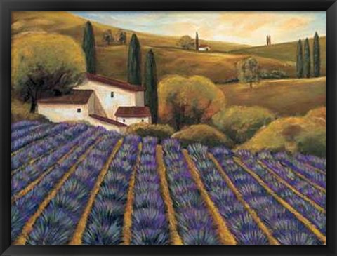 Framed Field of Lavender II Print