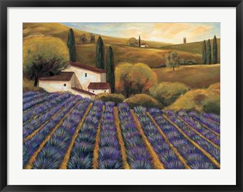 Framed Field of Lavender II Print