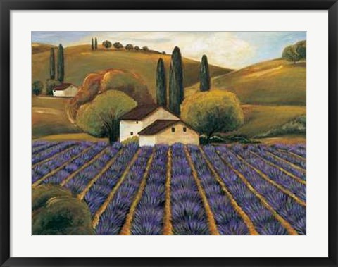 Framed Field of Lavender I Print