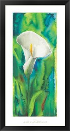 Framed Calla Print