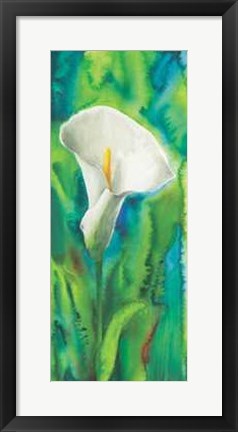 Framed Calla Print