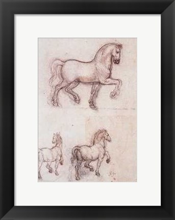 Framed Studi Per un Monumento Equestre Print