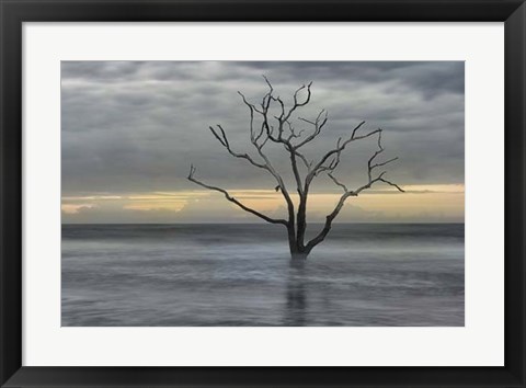 Framed Gray Skies Print