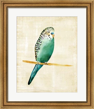 Framed Fanciful Birds II Print