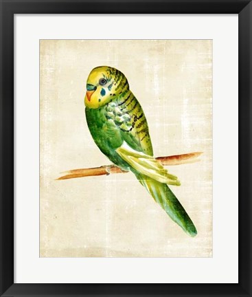 Framed Fanciful Birds III Print