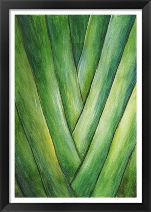 Framed Tropical Crop III Print