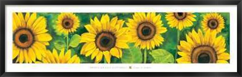 Framed Campo di Girasoli Print