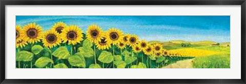 Framed Valle Dei Girasoli Print