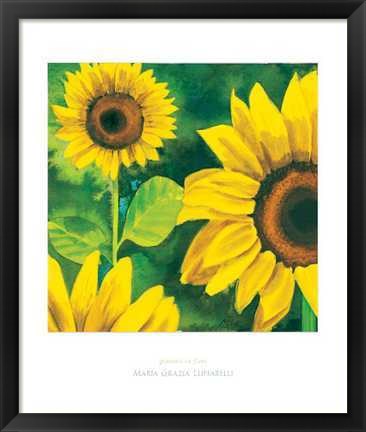 Framed Girasoli in Fiore Print