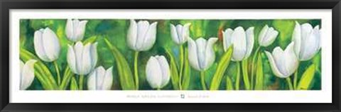 Framed Tulipani Bianchi Print