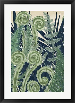 Framed Fiddlehead Waltz I Print