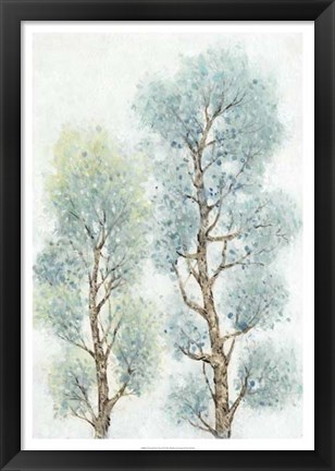 Framed Tranquil Tree Tops II Print