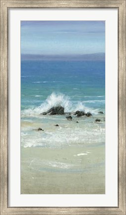 Framed Salt Spray III Print