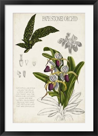 Framed Orchid Field Notes I Print