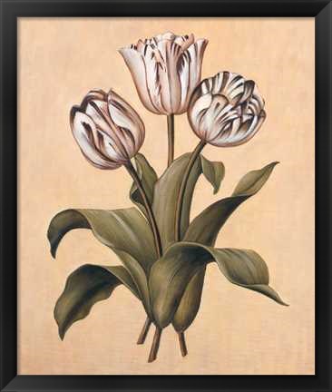 Framed Tulips II Print