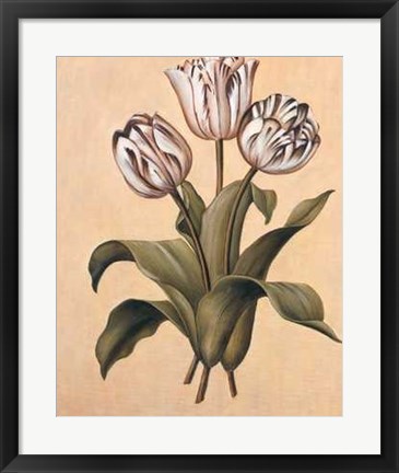 Framed Tulips II Print