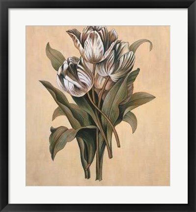 Framed Tulips I Print