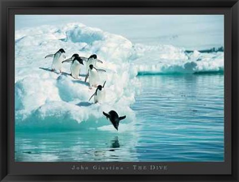 Framed Dive Print